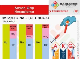 Anyon Gap Değerlendirme
