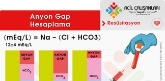 Anyon Gap Değerlendirme
