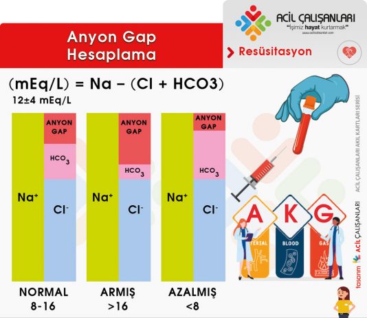 Anyon Gap Değerlendirme