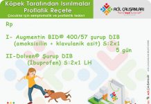 Hayvan ve İnsan Isırıkları Reçetesi