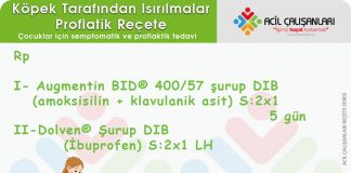 Hayvan ve İnsan Isırıkları Reçetesi