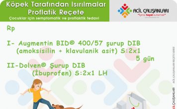 Hayvan ve İnsan Isırıkları Reçetesi