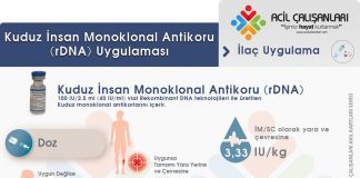 Kuduz İmmünglobülin (rDNA) Uygulaması