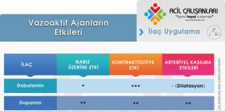 Vazopressörlerin ve İnotropların Dozları