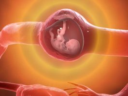 Ektopik Gebelik Acil Yaklaşım