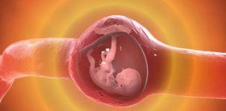 Ektopik Gebelik Acil Yaklaşım