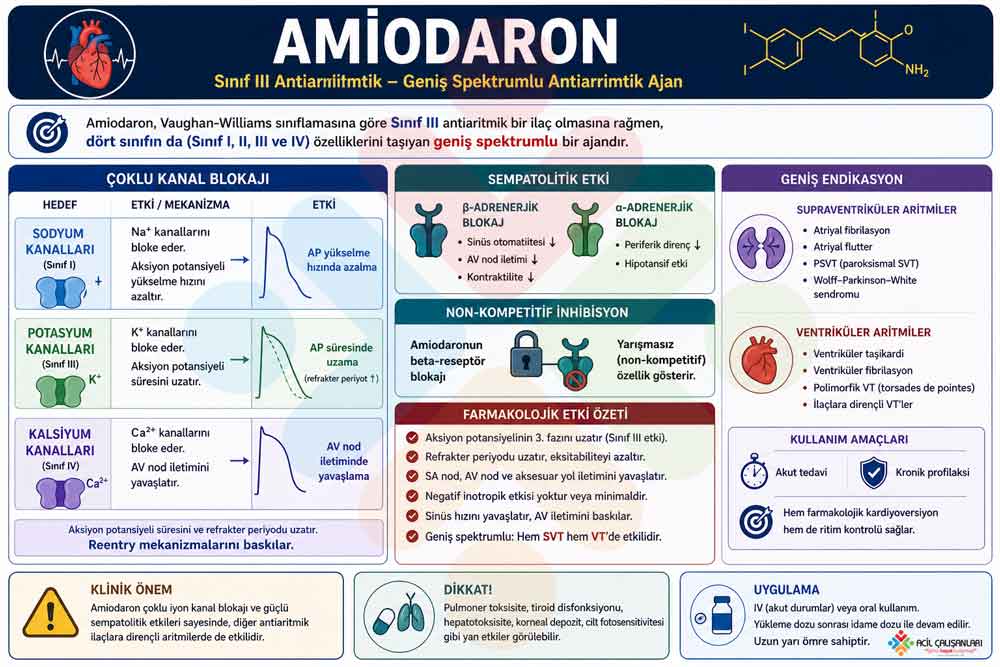 Amiodaron Mekanizma