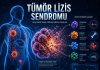 Tümör Lizis Sendromu