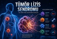 Tümör Lizis Sendromu