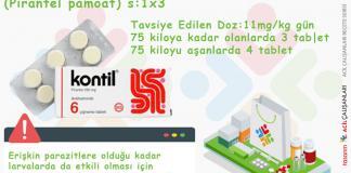 Enterobius Vermicularis (Kıl Kurdu) Reçetesi