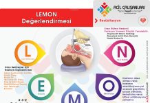 LEMON Akıl Kartı