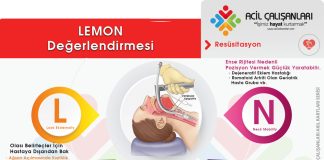 LEMON Akıl Kartı