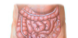 İnguinal Herni (Kasık Fıtığı ) Acil Yaklaşım