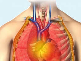Göğüs (Toraks) Travmasına Genel Yaklaşım