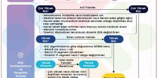 Akut Koroner Sendrom Yönetimi Kılavuzu 2023 AKS Hastalarında Akut Faz Yönetimi