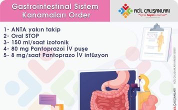 GİS Kanama Order
