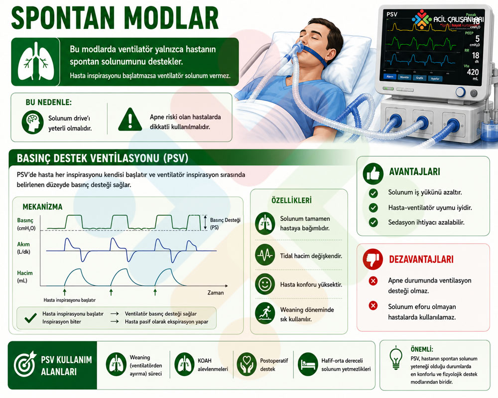 Spontan Modlar
