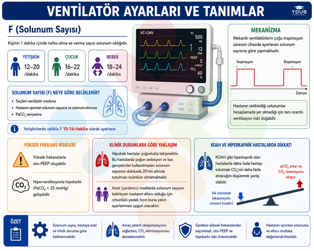 Solunum Sayısı