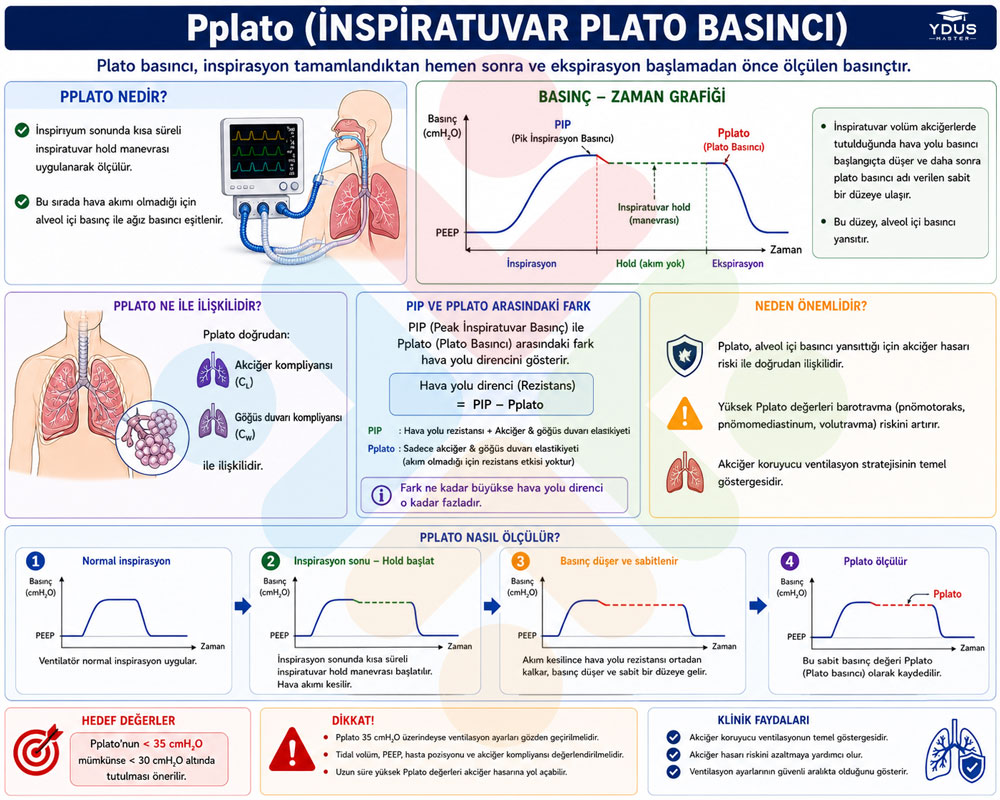Plato Basıncı