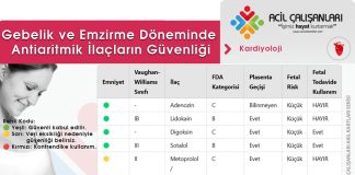 Gebelik ve Emzirme Döneminde Antiaritmik İlaçların Güvenliği