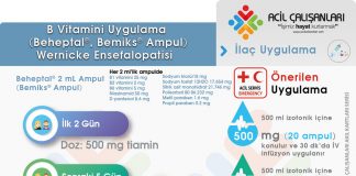 B Vitamini (Beheptal®, Bemiks® Kompoze) Ampul