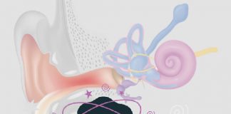 Meniere Hastalığına Acil Yaklaşım