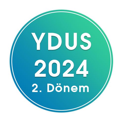 YDUS24D2-08