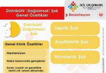 Dağılımsal (Distribütif) Şok