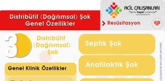 Dağılımsal (Distribütif) Şok