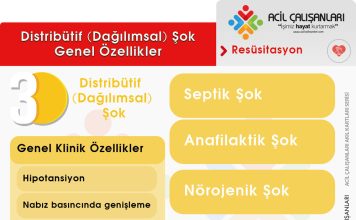 Dağılımsal (Distribütif) Şok