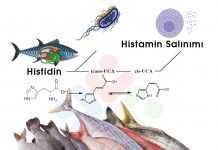 Skombroid Balık Zehirlenmesi