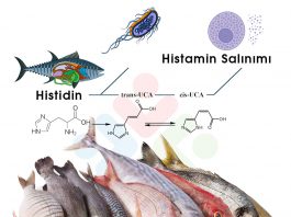 Skombroid Balık Zehirlenmesi