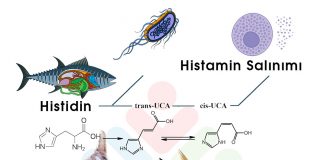 Skombroid Balık Zehirlenmesi