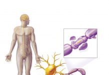 Güllien-Barre Sendromu (GBS)