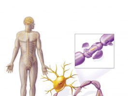 Güllien-Barre Sendromu (GBS)