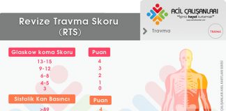 Revize Travma Skoru (RTS)