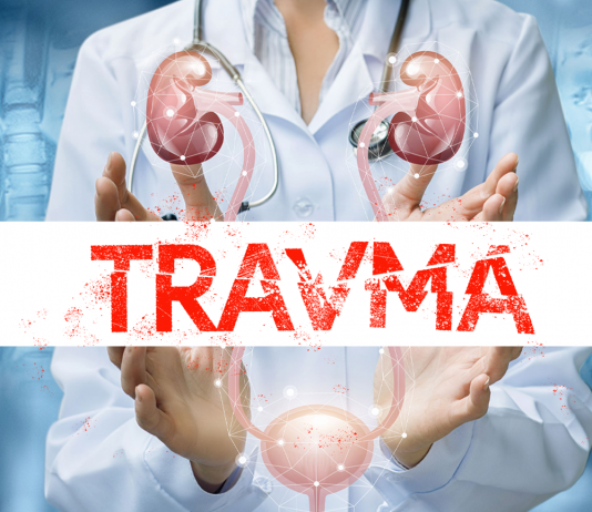 Pelvik Travmalara Bağlı Üriner Sistem Yaralanmaları