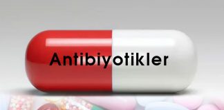 Antibiyotiklerin Sınıflandırması ve Özellikleri