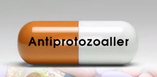 Antiprotozoal İlaçlar