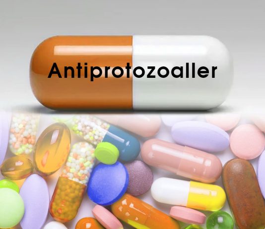 Antiprotozoal İlaçlar