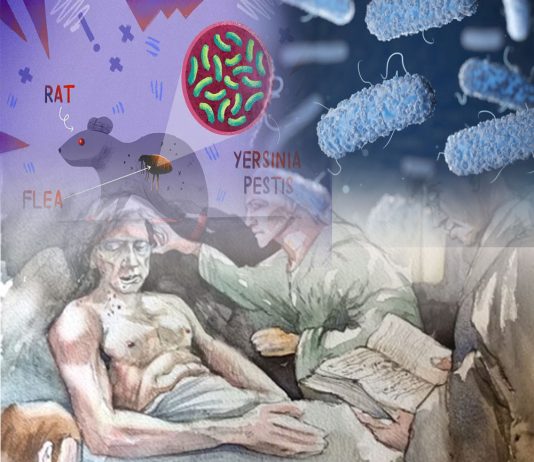 Veba (Yersinia Pestis) Acil yaklaşım