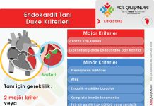 Modifiye Duke Kriterleri