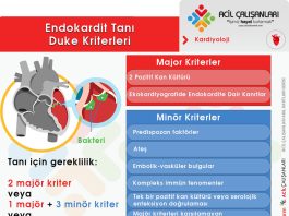 Modifiye Duke Kriterleri