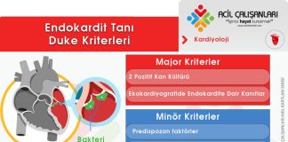 Modifiye Duke Kriterleri