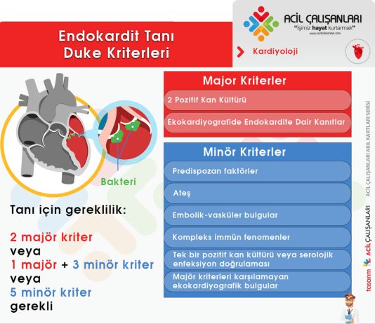 Modifiye Duke Kriterleri