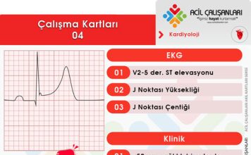 Çalışma Kartları 04