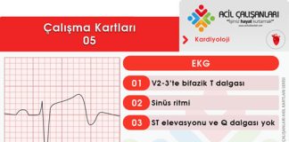 Çalışma Kartları 05