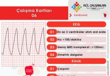Çalışma Kartları 06