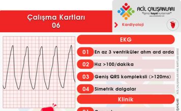 Çalışma Kartları 06