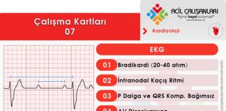 Çalışma Kartları 07